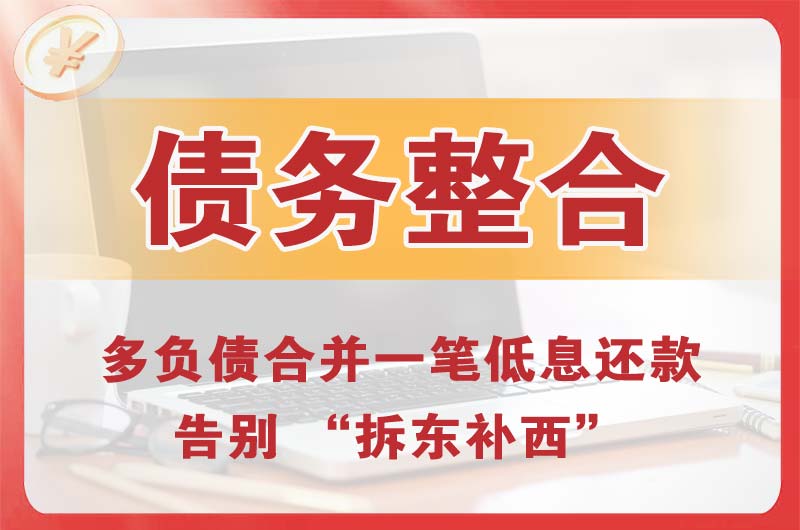 振安债务整合
